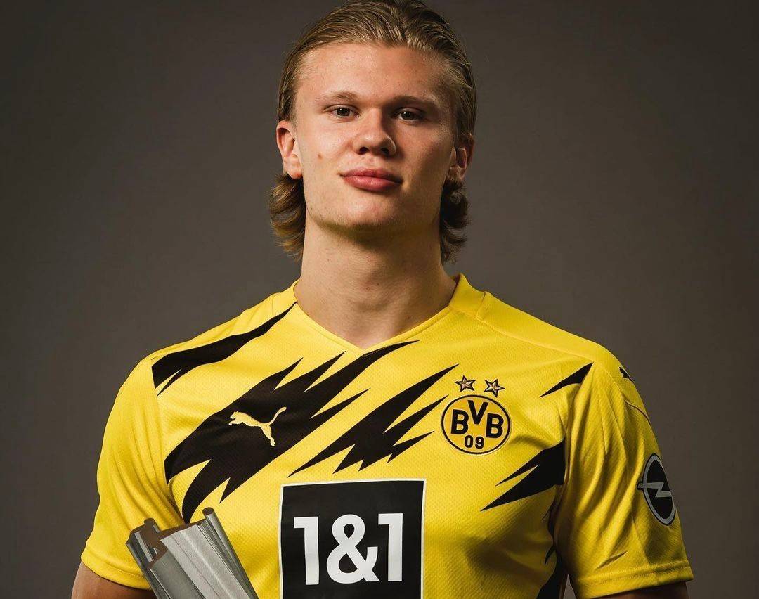 科学恢复 科学恢复